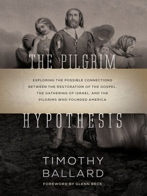 cover image of The Pilgrm Hypothesis